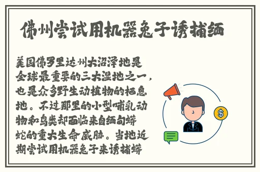 blued视频免费观看 高清